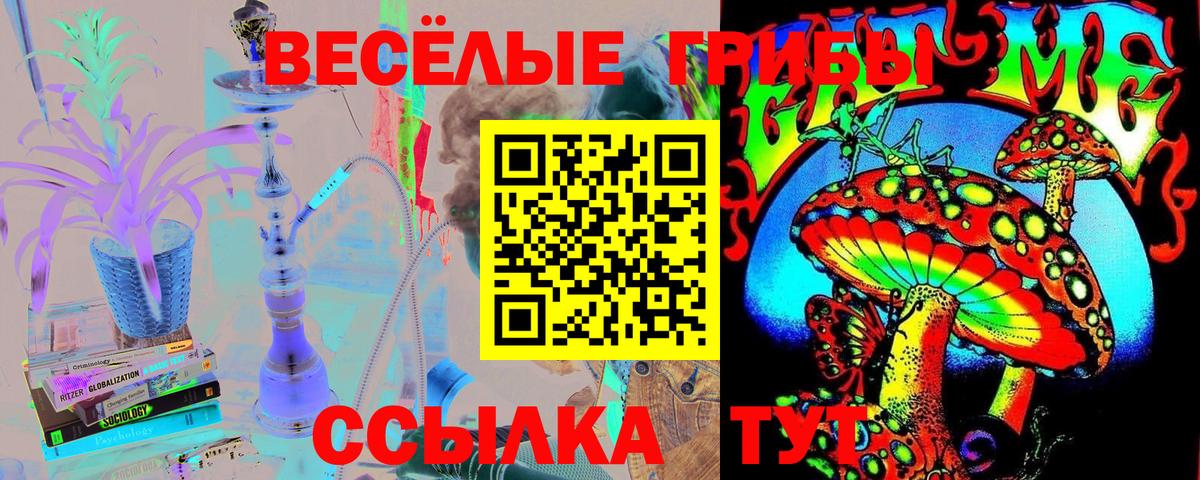 цена наркотик  Псилоцибиновые грибы MAGIC MUSHROOMS  Псилоцибиновые грибы мицелий  Вход с VPN  Кемерово 