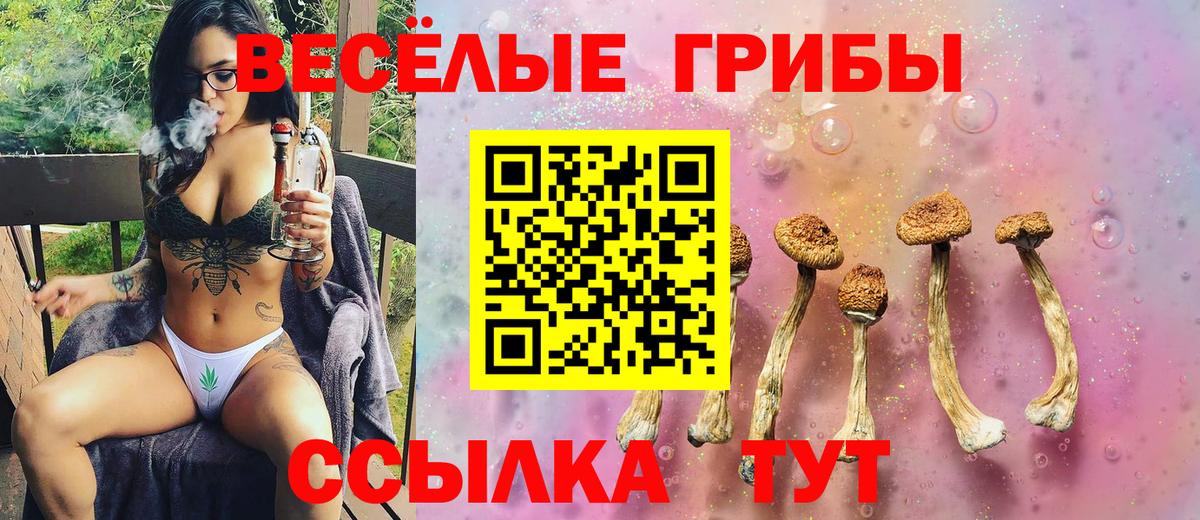 Галлюциногенные грибы Magic Shrooms Кемерово
